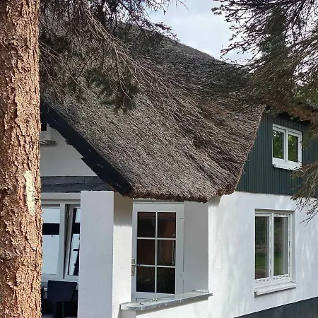 Nyaraló Naturidyll Mariendorf - Reethus Rotbuche *