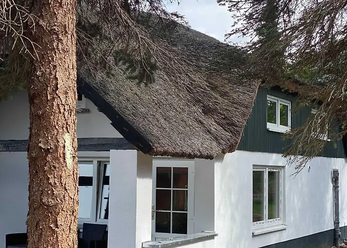 度假居 Naturidyll Mariendorf - Reethus Rotbuche *