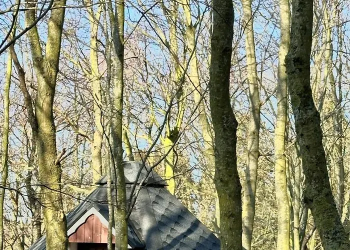 Naturidyll Mariendorf - Reethus Rotbuche